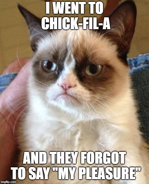 Grumpy Cat Meme | I WENT TO CHICK-FIL-A; AND THEY FORGOT TO SAY
"MY PLEASURE" | image tagged in memes,grumpy cat | made w/ Imgflip meme maker