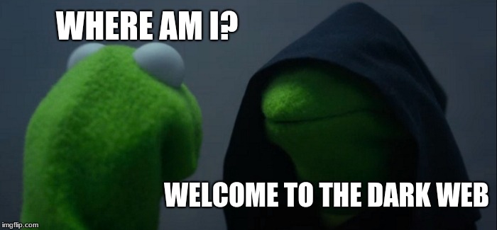 Evil Kermit | WHERE AM I? WELCOME TO THE DARK WEB | image tagged in memes,evil kermit | made w/ Imgflip meme maker