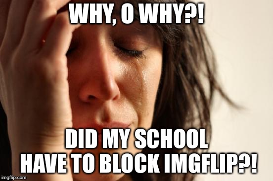 First World Problems Meme | WHY, O WHY?! DID MY SCHOOL HAVE TO BLOCK IMGFLIP?! | image tagged in memes,first world problems | made w/ Imgflip meme maker