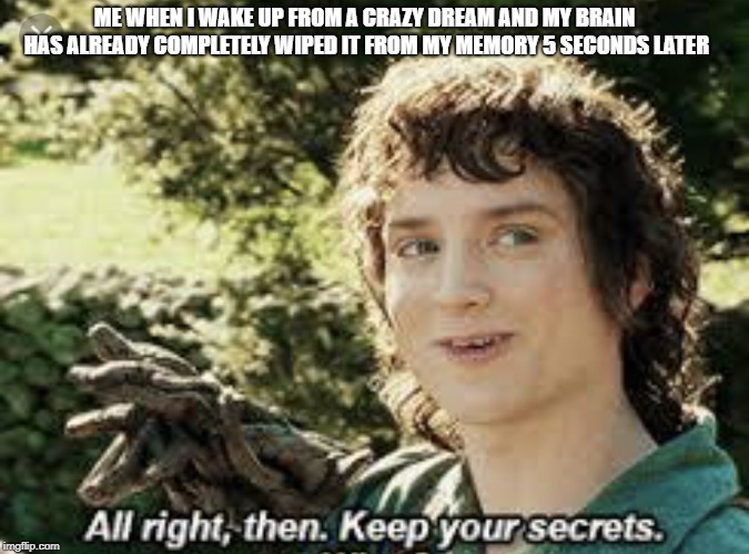 Frodo secrets | ME WHEN I WAKE UP FROM A CRAZY DREAM AND MY BRAIN HAS ALREADY COMPLETELY WIPED IT FROM MY MEMORY 5 SECONDS LATER | image tagged in frodo secrets,AdviceAnimals | made w/ Imgflip meme maker