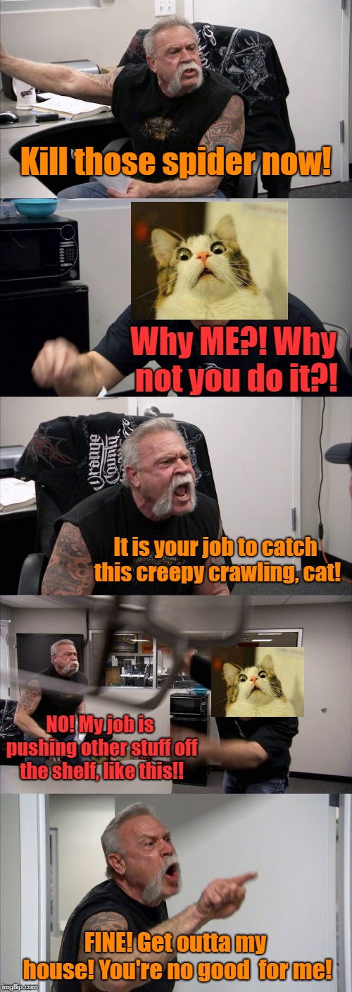 American Chopper Argument Meme | Kill those spider now! Why ME?! Why not you do it?! It is your job to catch this creepy crawling, cat! NO! My job is pushing other stuff off the shelf, like this!! FINE! Get outta my house! You're no good  for me! | image tagged in memes,american chopper argument,scared cat,spider | made w/ Imgflip meme maker