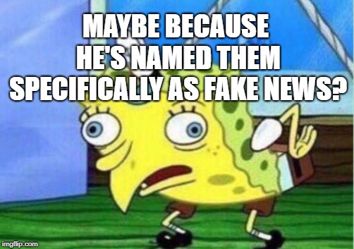 Mocking Spongebob Meme | MAYBE BECAUSE HE'S NAMED THEM SPECIFICALLY AS FAKE NEWS? | image tagged in memes,mocking spongebob | made w/ Imgflip meme maker