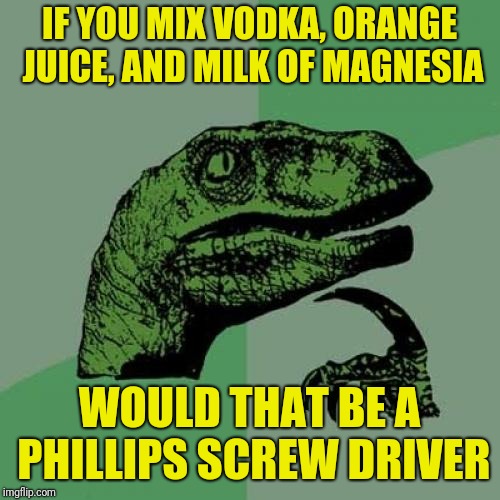 I'd hate to experience the bathroom trip on this one | IF YOU MIX VODKA, ORANGE JUICE, AND MILK OF MAGNESIA; WOULD THAT BE A PHILLIPS SCREW DRIVER | image tagged in memes,philosoraptor | made w/ Imgflip meme maker