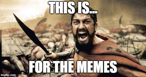 Sparta Leonidas Meme | THIS IS... FOR THE MEMES | image tagged in memes,sparta leonidas | made w/ Imgflip meme maker