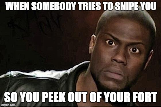 Kevin Hart | WHEN SOMEBODY TRIES TO SNIPE YOU; SO YOU PEEK OUT OF YOUR FORT | image tagged in memes,kevin hart | made w/ Imgflip meme maker