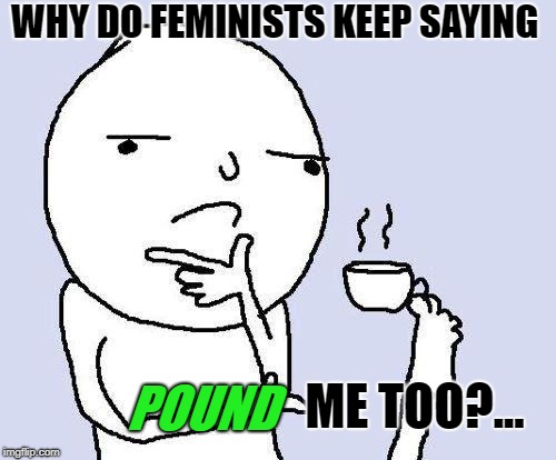 thinking meme | WHY DO FEMINISTS KEEP SAYING; ME TOO?... POUND | image tagged in thinking meme | made w/ Imgflip meme maker