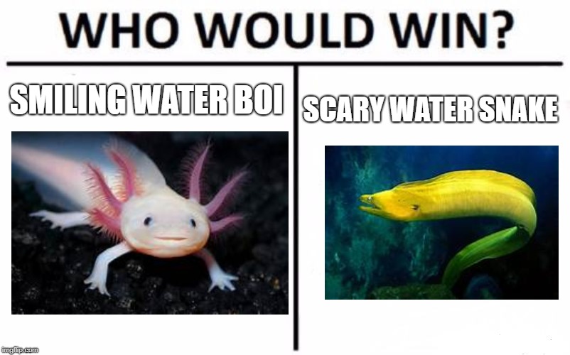 Who Would Win? Meme | SMILING WATER BOI; SCARY WATER SNAKE | image tagged in memes,who would win | made w/ Imgflip meme maker