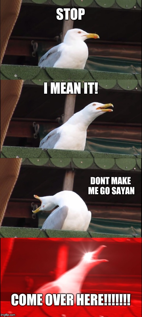 Inhaling Seagull Meme | STOP; I MEAN IT! DONT MAKE ME GO SAYAN; COME OVER HERE!!!!!!! | image tagged in memes,inhaling seagull | made w/ Imgflip meme maker
