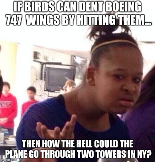 Black Girl Wat | IF BIRDS CAN DENT BOEING 747  WINGS BY HITTING THEM... THEN HOW THE HELL COULD THE PLANE GO THROUGH TWO TOWERS IN NY? | image tagged in memes,black girl wat | made w/ Imgflip meme maker