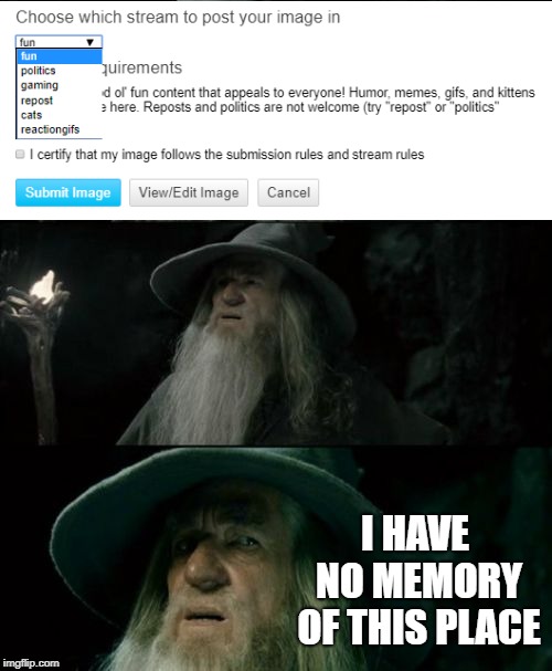 Clearly I've been away a long time. Anything important happen while I was gone? | I HAVE NO MEMORY OF THIS PLACE | image tagged in memes,confused gandalf,imgflip,meme stream | made w/ Imgflip meme maker