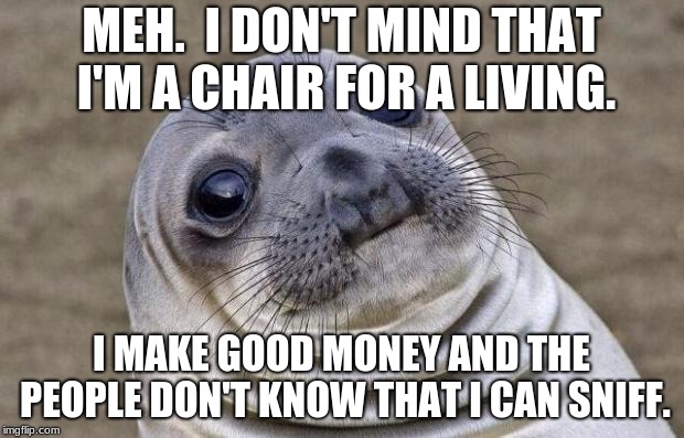 Awkward Moment Sealion | MEH.  I DON'T MIND THAT I'M A CHAIR FOR A LIVING. I MAKE GOOD MONEY AND THE PEOPLE DON'T KNOW THAT I CAN SNIFF. | image tagged in memes,awkward moment sealion | made w/ Imgflip meme maker