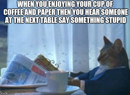 I Should Buy A Boat Cat Meme | WHEN YOU ENJOYING YOUR CUP OF COFFEE AND PAPER THEN YOU HEAR SOMEONE AT THE NEXT TABLE SAY SOMETHING STUPID | image tagged in memes,i should buy a boat cat | made w/ Imgflip meme maker