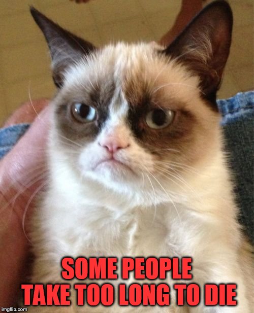 Grumpy Cat Meme | SOME PEOPLE TAKE TOO LONG TO DIE | image tagged in memes,grumpy cat | made w/ Imgflip meme maker