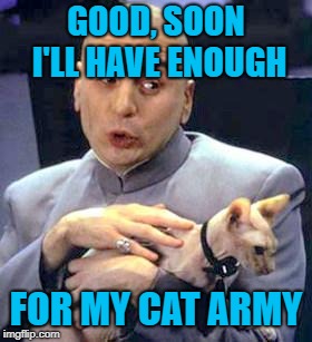 GOOD, SOON I'LL HAVE ENOUGH FOR MY CAT ARMY | made w/ Imgflip meme maker