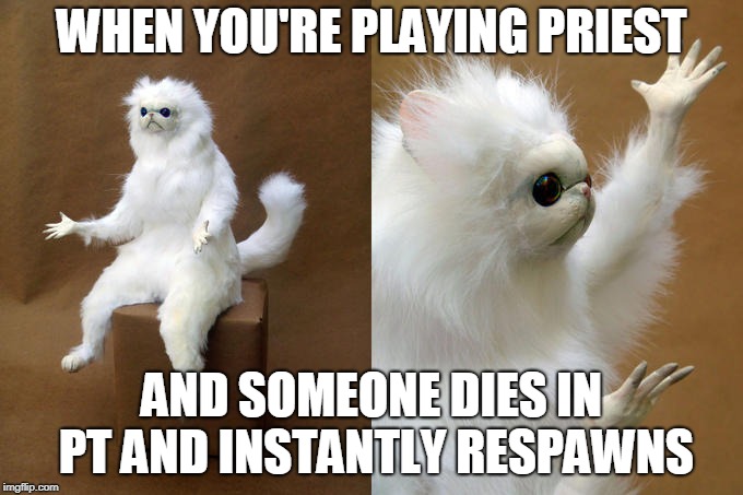 Persian Cat Room Guardian Meme | WHEN YOU'RE PLAYING PRIEST; AND SOMEONE DIES IN PT AND INSTANTLY RESPAWNS | image tagged in memes,persian cat room guardian | made w/ Imgflip meme maker