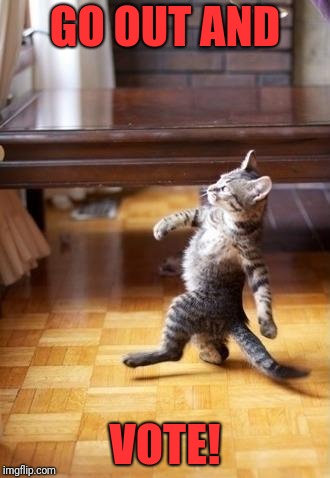 Cat going out to vote. | GO OUT AND; VOTE! | image tagged in memes,cool cat stroll | made w/ Imgflip meme maker