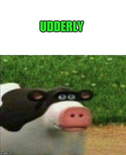 Perhaps cow | UDDERLY | image tagged in perhaps cow | made w/ Imgflip meme maker