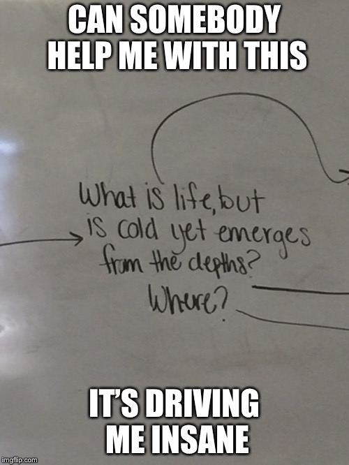 Plz help | CAN SOMEBODY HELP ME WITH THIS; IT’S DRIVING ME INSANE | image tagged in riddle,help,plz | made w/ Imgflip meme maker