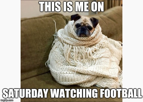 Pug in a Blanket | THIS IS ME ON; SATURDAY WATCHING FOOTBALL | image tagged in pug in a blanket | made w/ Imgflip meme maker