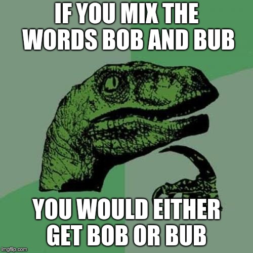 Say what? | IF YOU MIX THE WORDS BOB AND BUB; YOU WOULD EITHER GET BOB OR BUB | image tagged in memes,philosoraptor | made w/ Imgflip meme maker