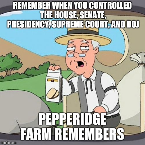 Pepperidge Farm Remembers Meme | REMEMBER WHEN YOU CONTROLLED THE HOUSE, SENATE, PRESIDENCY, SUPREME COURT, AND DOJ; PEPPERIDGE FARM REMEMBERS | image tagged in memes,pepperidge farm remembers | made w/ Imgflip meme maker