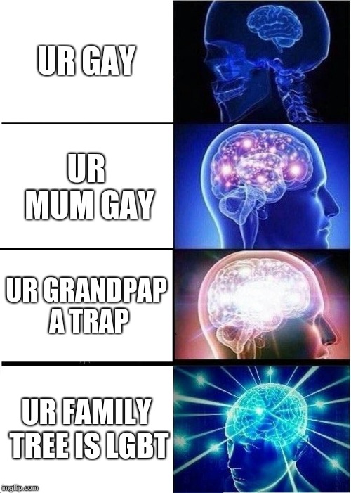 Expanding Brain Meme | UR GAY; UR MUM GAY; UR GRANDPAP A TRAP; UR FAMILY TREE IS LGBT | image tagged in memes,expanding brain | made w/ Imgflip meme maker