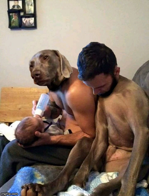 trading places tuesday | image tagged in dog,dogs,dad,daddy,baby daddy,trading places | made w/ Imgflip meme maker
