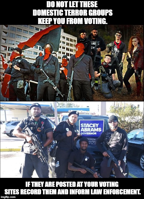 Voter Intimidation by Domestic Terror Groups. | DO NOT LET THESE DOMESTIC TERROR GROUPS KEEP YOU FROM VOTING. IF THEY ARE POSTED AT YOUR VOTING SITES RECORD THEM AND INFORM LAW ENFORCEMENT. | image tagged in antifa,black lives matter,black panther,elections,domestic terrorist,voter intimidation | made w/ Imgflip meme maker