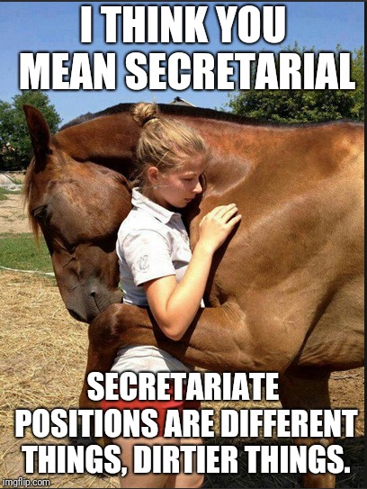 I THINK YOU MEAN SECRETARIAL SECRETARIATE POSITIONS ARE DIFFERENT THINGS, DIRTIER THINGS. | made w/ Imgflip meme maker
