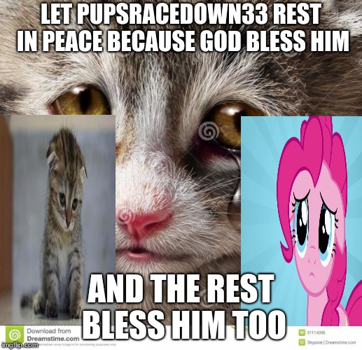 Rest in peace PupsRaceDown33 | LET PUPSRACEDOWN33 REST IN PEACE BECAUSE GOD BLESS HIM; AND THE REST BLESS HIM TOO | image tagged in rest in peace m8 ghoster,pupsracedown33 | made w/ Imgflip meme maker