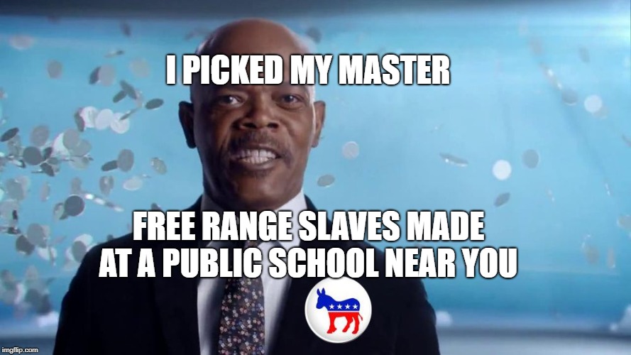 I PICKED MY MASTER; FREE RANGE SLAVES MADE AT A PUBLIC SCHOOL NEAR YOU | image tagged in what's in your closet | made w/ Imgflip meme maker