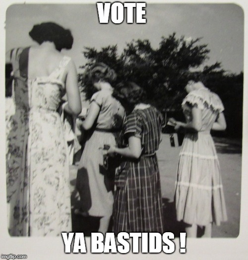 1950's Distracted Women | VOTE; YA BASTIDS ! | image tagged in 1950's distracted women | made w/ Imgflip meme maker