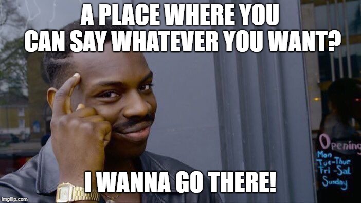 Roll Safe Think About It Meme | A PLACE WHERE YOU CAN SAY WHATEVER YOU WANT? I WANNA GO THERE! | image tagged in memes,roll safe think about it | made w/ Imgflip meme maker