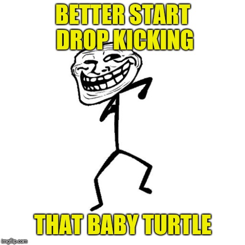 Dancing Troll | BETTER START DROP KICKING THAT BABY TURTLE | image tagged in dancing troll | made w/ Imgflip meme maker
