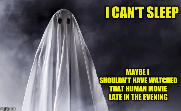 It was really scary | I CAN'T SLEEP; MAYBE I SHOULDN'T HAVE WATCHED THAT HUMAN MOVIE LATE IN THE EVENING | image tagged in ghosts | made w/ Imgflip meme maker