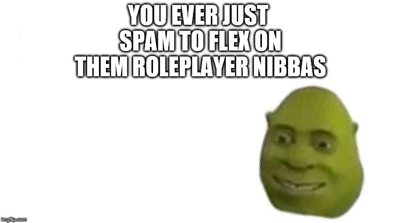 u ever just  | YOU EVER JUST SPAM TO FLEX ON THEM ROLEPLAYER NIBBAS | image tagged in u ever just | made w/ Imgflip meme maker