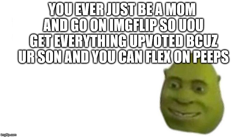 u ever just  | YOU EVER JUST BE A MOM AND GO ON IMGFLIP SO UOU GET EVERYTHING UPVOTED BCUZ UR SON AND YOU CAN FLEX ON PEEPS | image tagged in u ever just | made w/ Imgflip meme maker