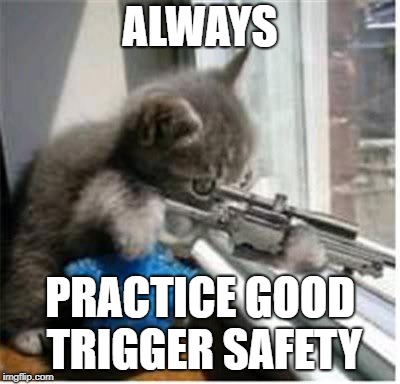 cats with guns | ALWAYS PRACTICE GOOD TRIGGER SAFETY | image tagged in cats with guns | made w/ Imgflip meme maker