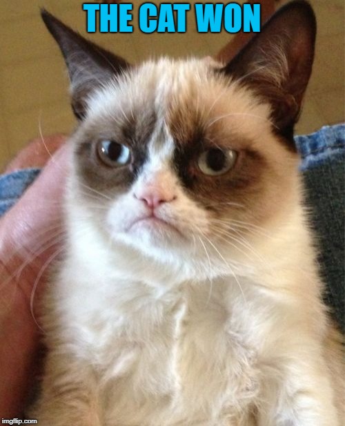 Grumpy Cat Meme | THE CAT WON | image tagged in memes,grumpy cat | made w/ Imgflip meme maker