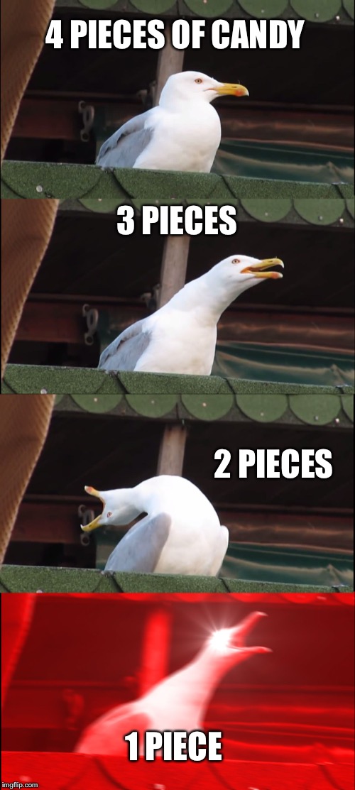 Inhaling Seagull | 4 PIECES OF CANDY; 3 PIECES; 2 PIECES; 1 PIECE | image tagged in memes,inhaling seagull | made w/ Imgflip meme maker