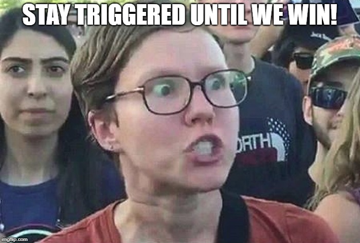 Triggered Liberal | STAY TRIGGERED UNTIL WE WIN! | image tagged in triggered liberal | made w/ Imgflip meme maker