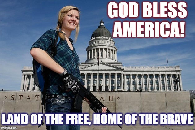 GOD BLESS AMERICA! LAND OF THE FREE, HOME OF THE BRAVE | image tagged in gun rights woman capitol | made w/ Imgflip meme maker