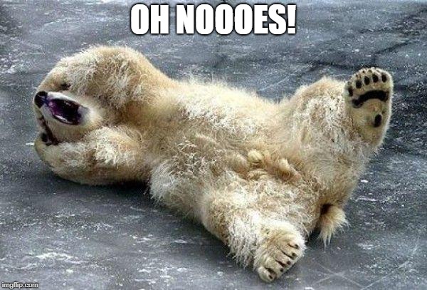 Oh nooo polar bear | OH NOOOES! | image tagged in oh nooo polar bear | made w/ Imgflip meme maker
