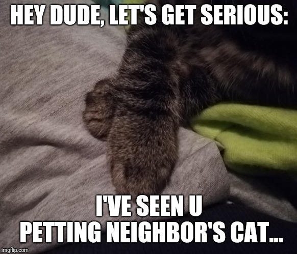 HEY DUDE, LET'S GET SERIOUS:; I'VE SEEN U PETTING NEIGHBOR'S CAT... | image tagged in funny cats,cats,funny memes,jealousy | made w/ Imgflip meme maker