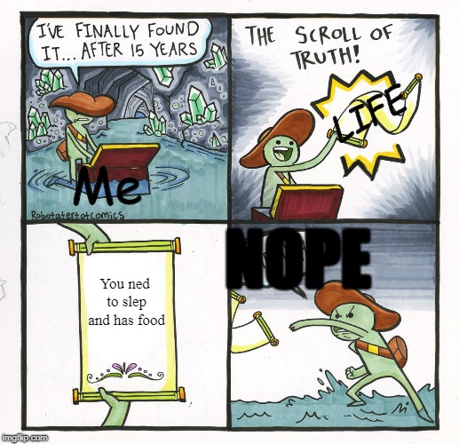The Scroll Of Truth | LIFE; Me; NOPE; You ned to slep and has food | image tagged in memes,the scroll of truth | made w/ Imgflip meme maker