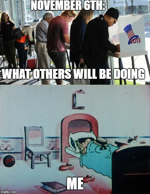 NOVEMBER 6TH:; WHAT OTHERS WILL BE DOING; ME | image tagged in voting | made w/ Imgflip meme maker