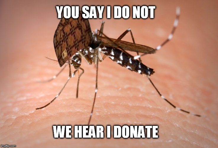 mosquito  | YOU SAY I DO NOT WE HEAR I DONATE | image tagged in mosquito,scumbag | made w/ Imgflip meme maker