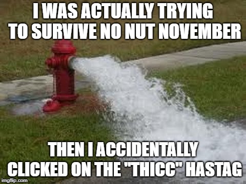 Has anyone actually succeeded with NNN? | I WAS ACTUALLY TRYING TO SURVIVE NO NUT NOVEMBER; THEN I ACCIDENTALLY CLICKED ON THE "THICC" HASTAG | image tagged in memes,funny,dank memes,no nut november,dirty jokes,dirty memes | made w/ Imgflip meme maker