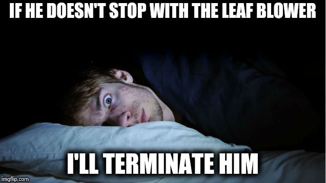 Night Terror | IF HE DOESN'T STOP WITH THE LEAF BLOWER I'LL TERMINATE HIM | image tagged in night terror | made w/ Imgflip meme maker