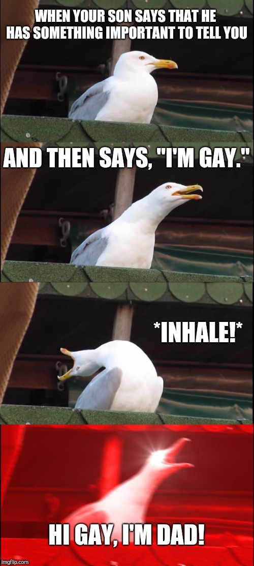 Same meme, different format! | WHEN YOUR SON SAYS THAT HE HAS SOMETHING IMPORTANT TO TELL YOU; AND THEN SAYS, "I'M GAY."; *INHALE!*; HI GAY, I'M DAD! | image tagged in memes,inhaling seagull,gay,ha gay,dad joke meme | made w/ Imgflip meme maker